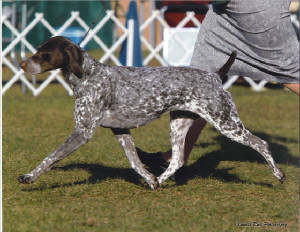 AvaGaitBrooksville1-08.jpg