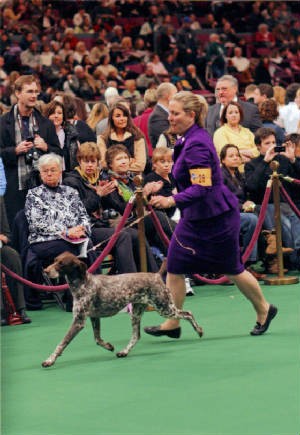 AvaWestminster2011.jpg