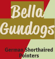 Bella_Gun_Dogs_German_Shorthaired_Pointers_TN.JPG