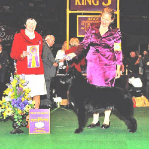 Bets2011GardenBOB.jpg