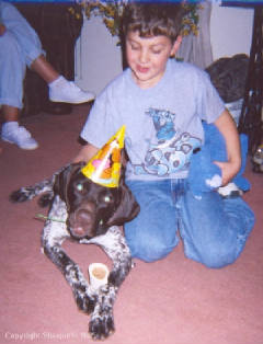 CharlietheBirthdayDog.jpg