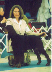 Professional Handling