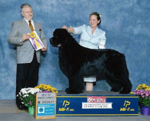 DobyBISSl2011.JPG