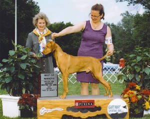 GatewaySportingMajor.jpg