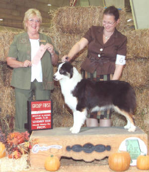NavaPuppygroupOnePricevilleALNov72009.jpg