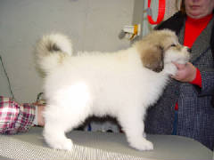 PaytonStack8wks.jpg