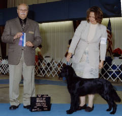StellaChampionship005.jpg