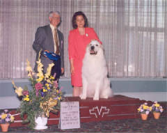 Traveler-2001National.jpg