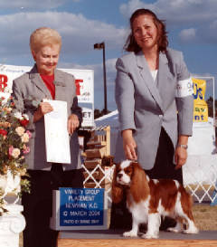 Tripper-NewnanGroup.jpg