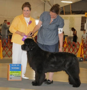 Zoey2ndmajor-Waynesville6-09.jpg