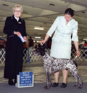 buckchamp13109.jpg