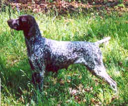 Hailey4-02.jpg