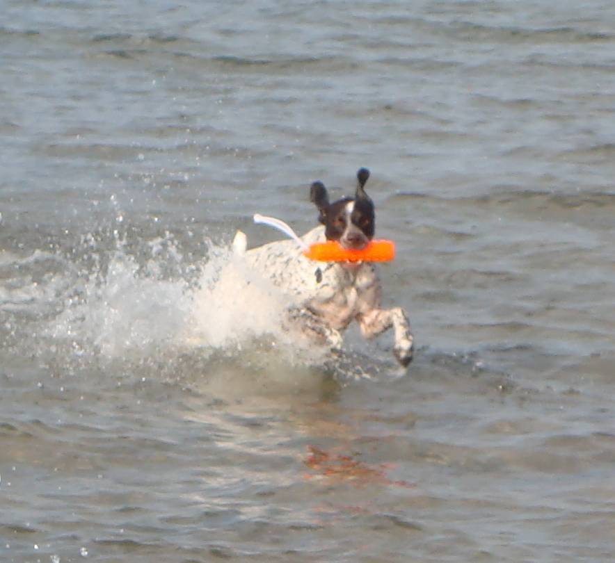 LivieBeach5-08.jpg