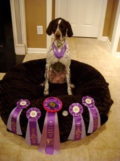 LivieEukanuba12-09.jpg