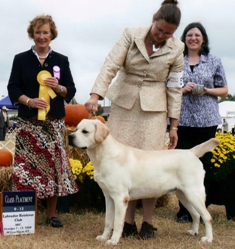 Mac2008NatSpec.jpg