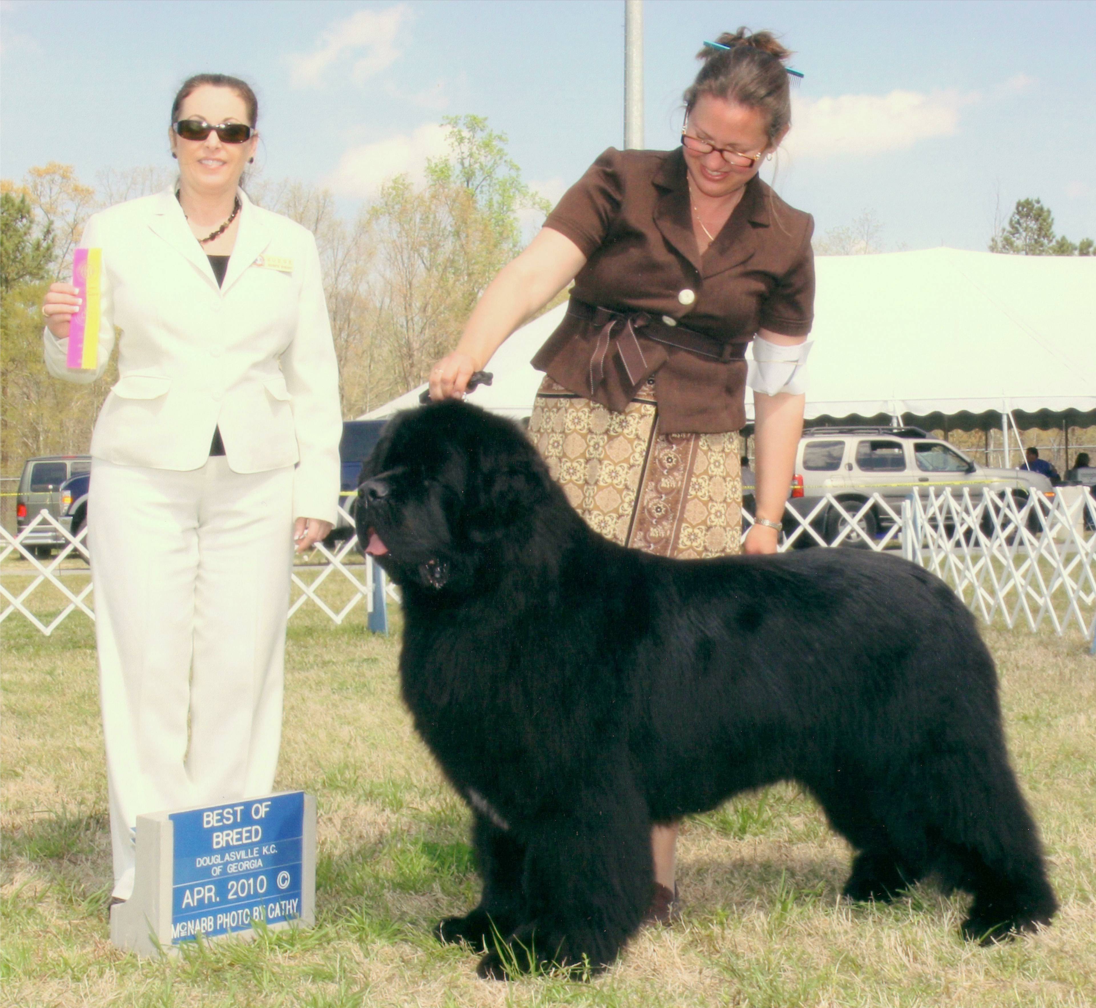 Merlin_BOB_Newnan_04042010.JPG