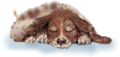 sleepys.gif